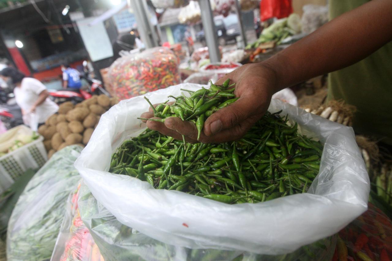 Harga Cabai Rawit Kerek...