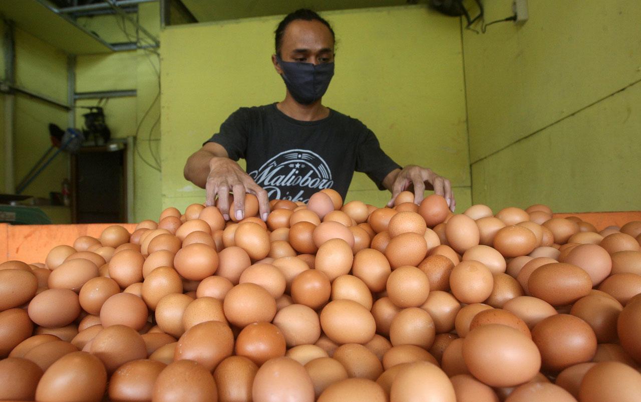 Harga Telur Diprediksi...