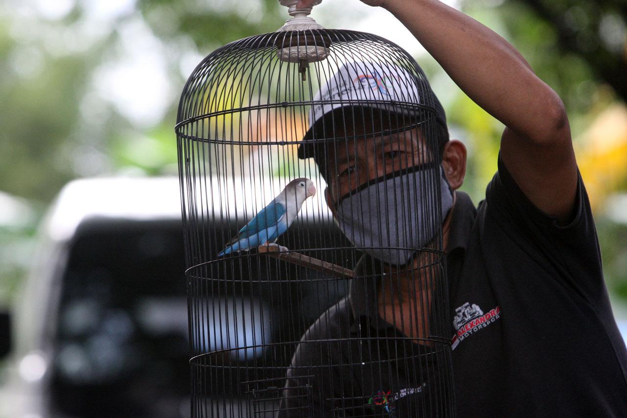 Lomba Kicau Burung Terapkan...