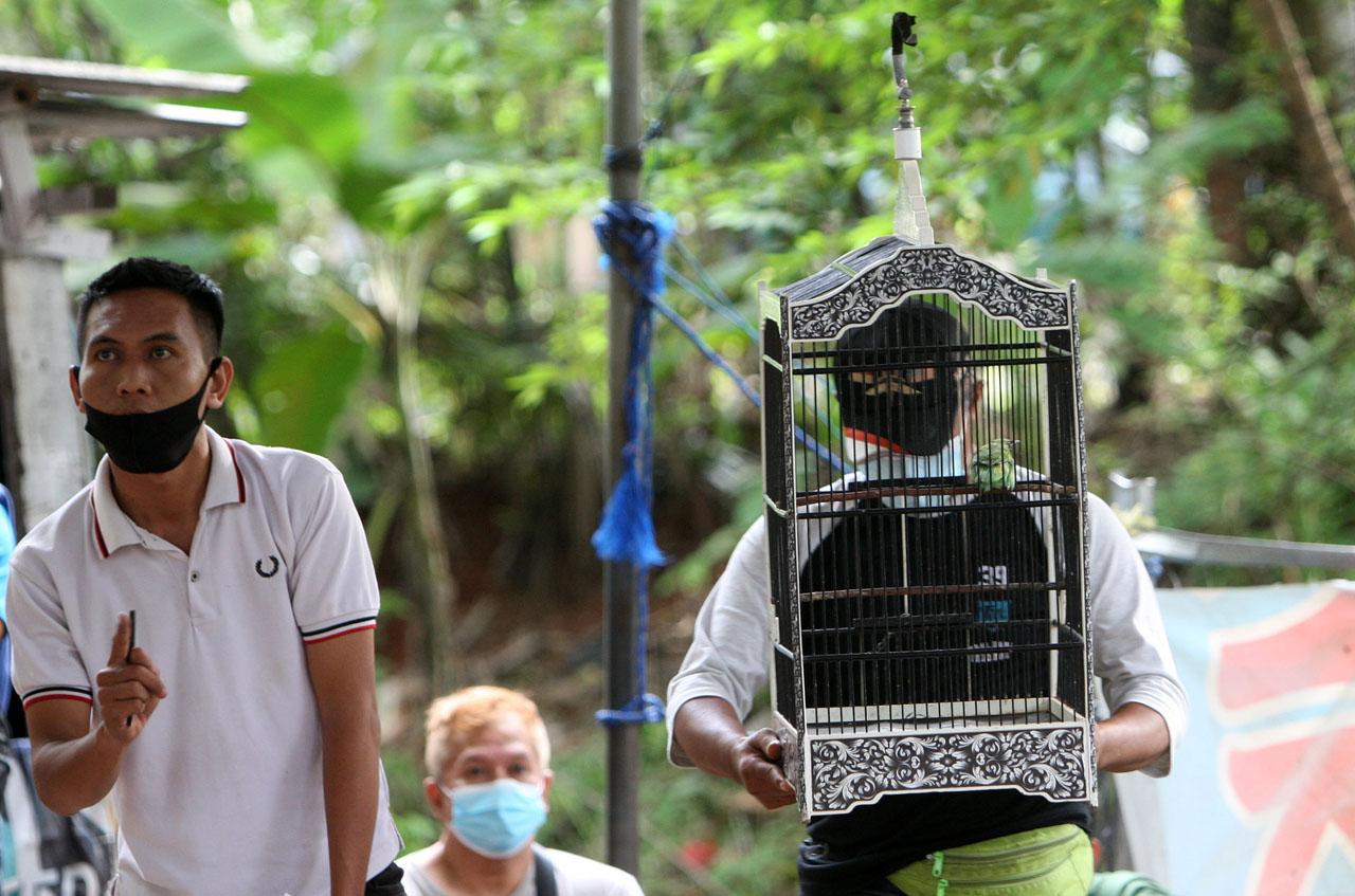 Lomba Kicau Burung Terapkan...