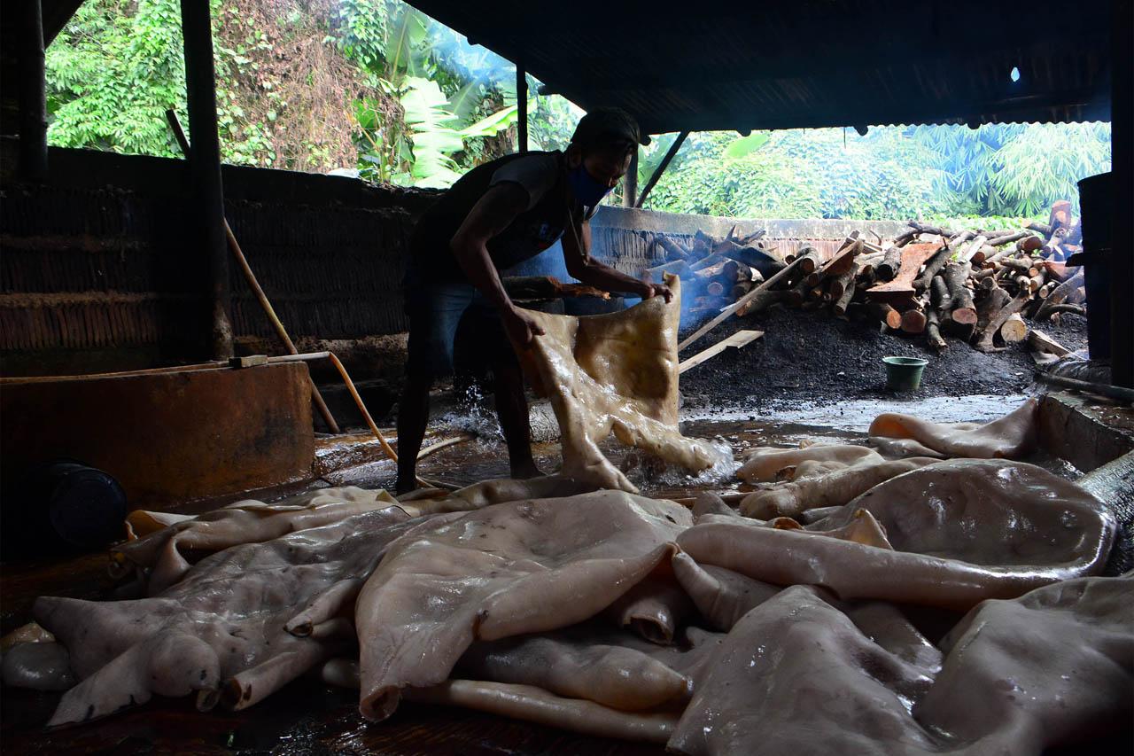 Produksi Krupuk Kulit...