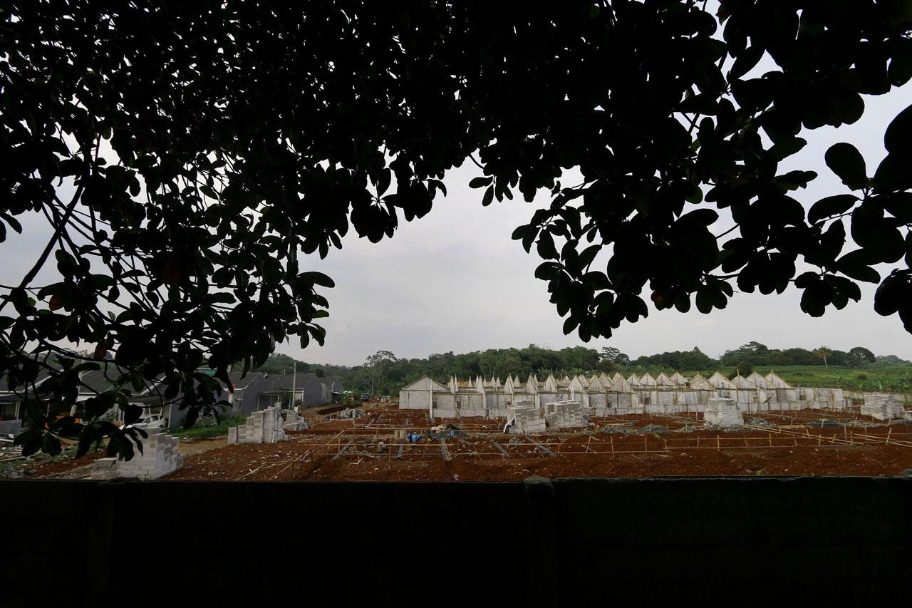 BTN Fokus Pengembangan...