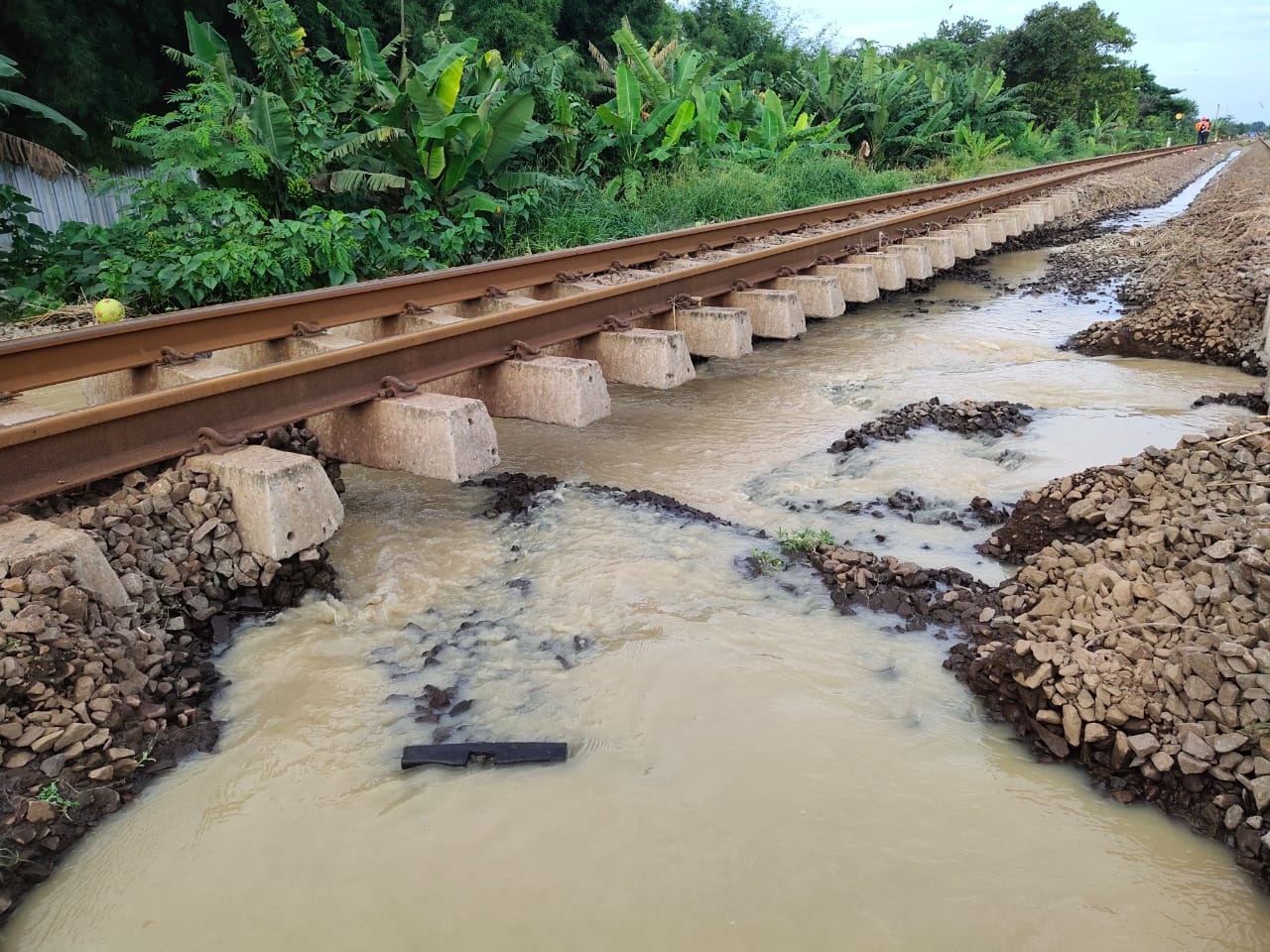 Terdampak Banjir, Hari...