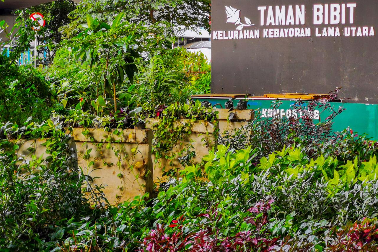 Budidaya Tanaman Hias...