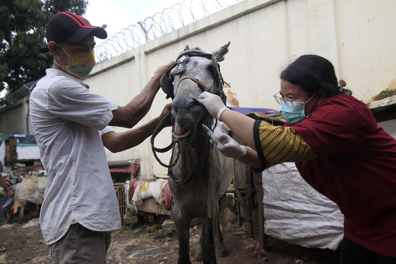 Pelayanan Kesehatan...