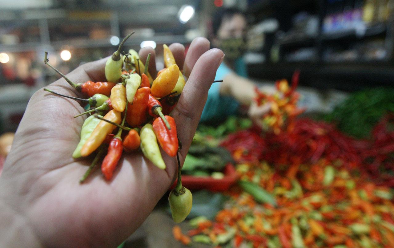 Harga Cabai di Pasar...