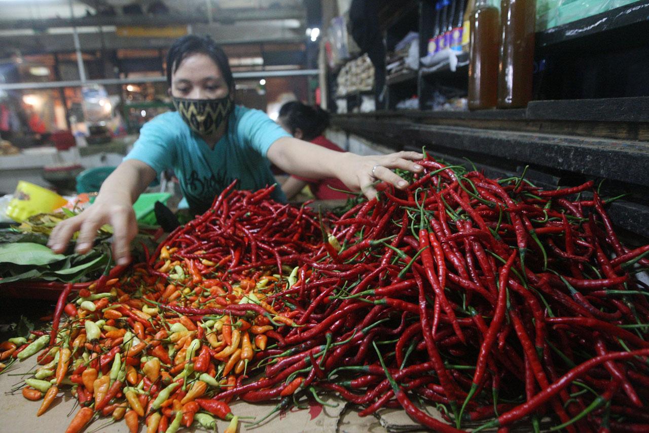 Harga Cabai di Pasar...