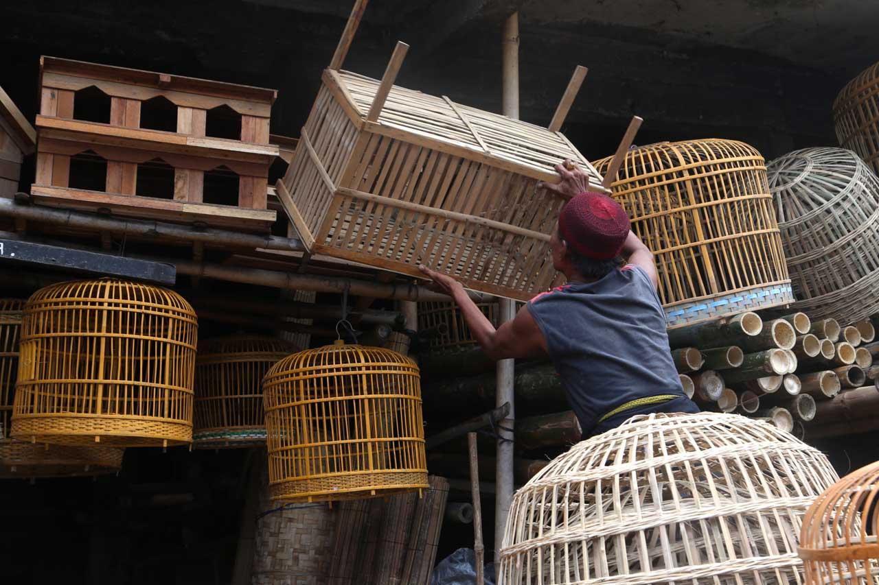 Sangkar Burung dan Ayam...