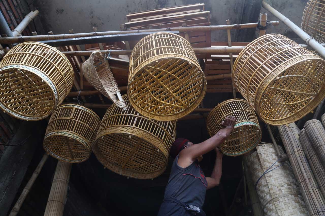 Sangkar Burung dan Ayam...