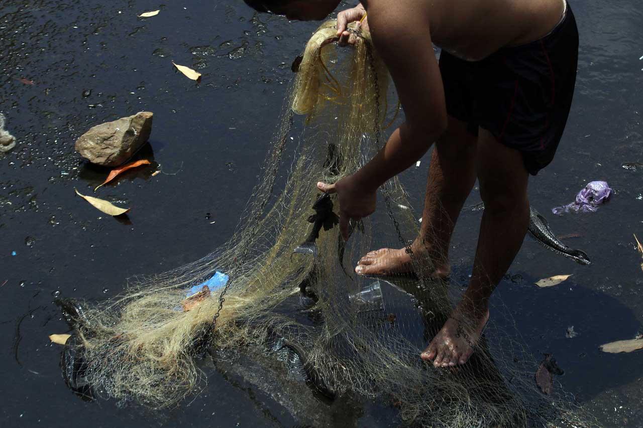Mencari Ikan dan Berolahraga...