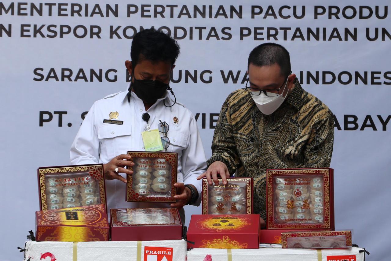 Sarang Burung Walet...