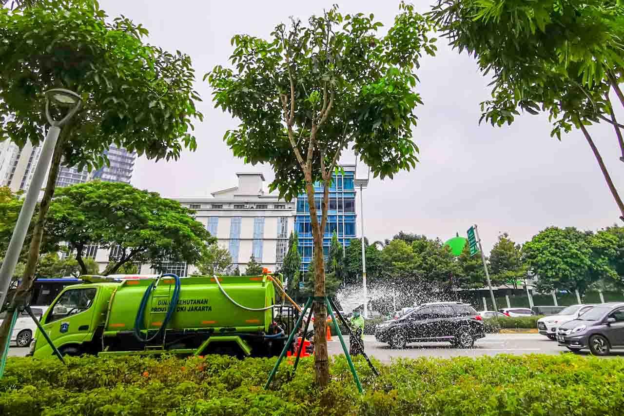 Perawatan Rutin Taman...