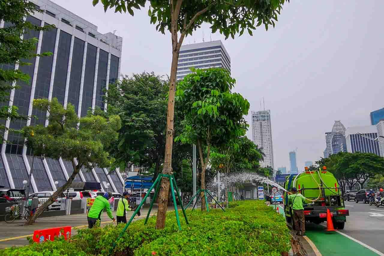 Perawatan Rutin Taman...