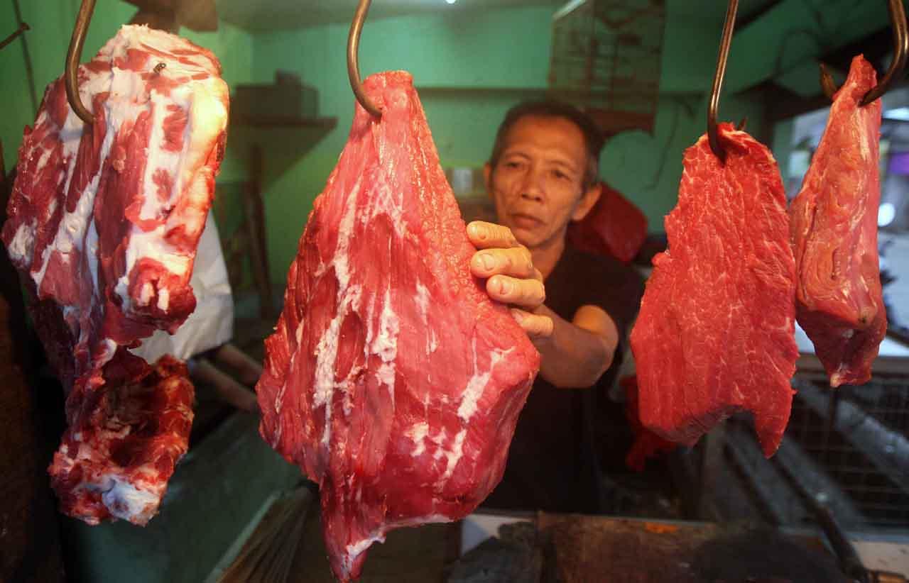 Pasokan Daging Sapi...