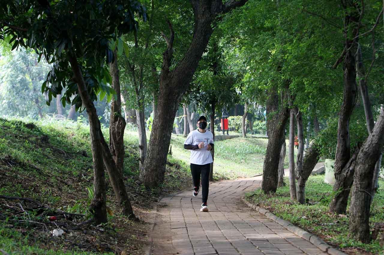 Utan Kemayoran, Alternatif...