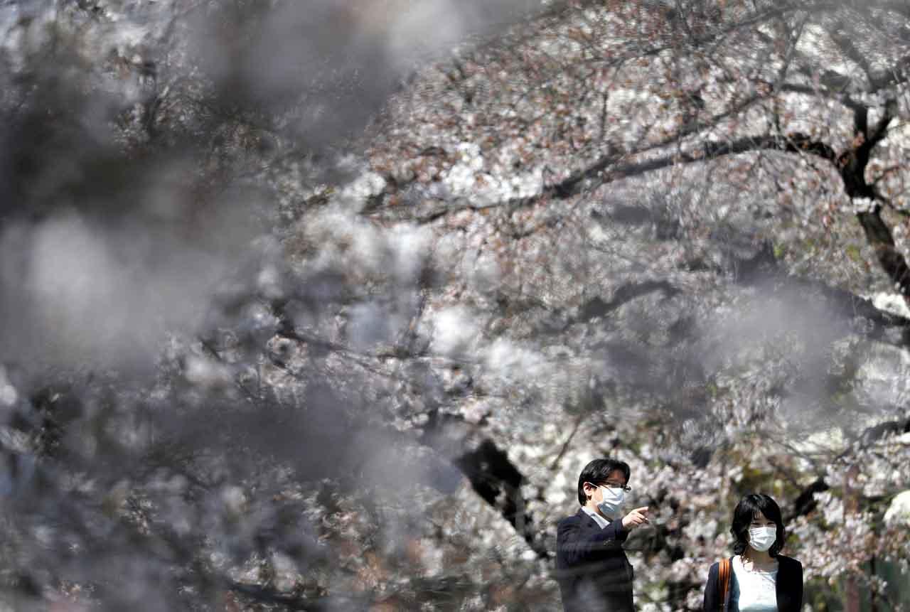 Menikmati Mekar Sakura...