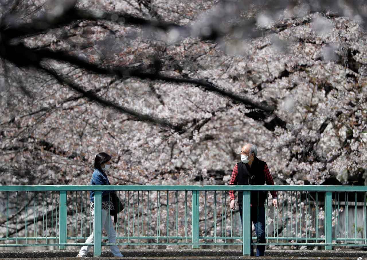 Menikmati Mekar Sakura...
