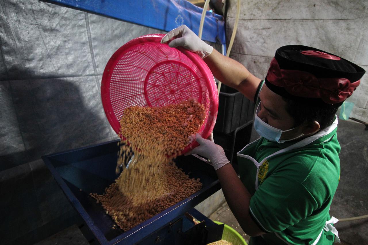 Pembuatan Tempe di Pondok...