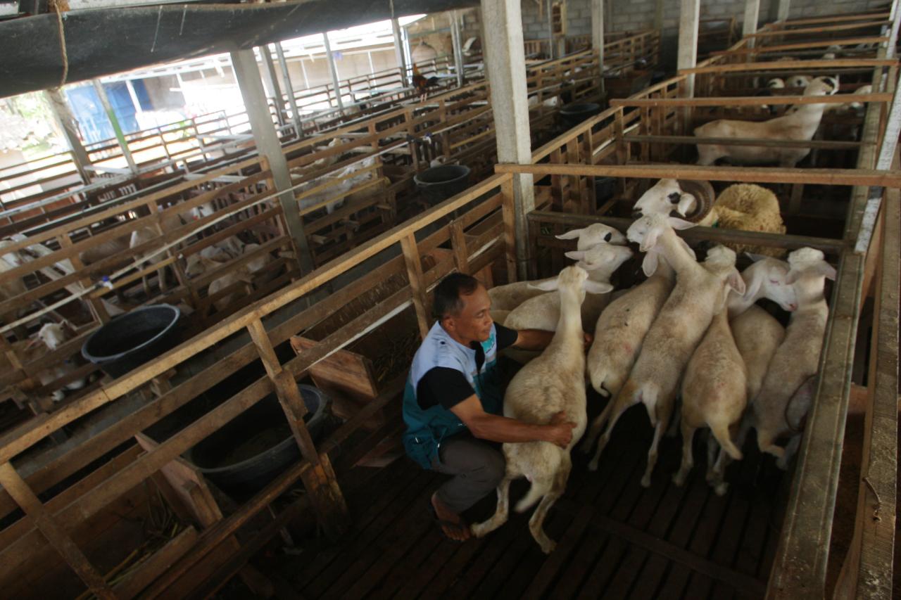 Warga Kendal Kembangkan...