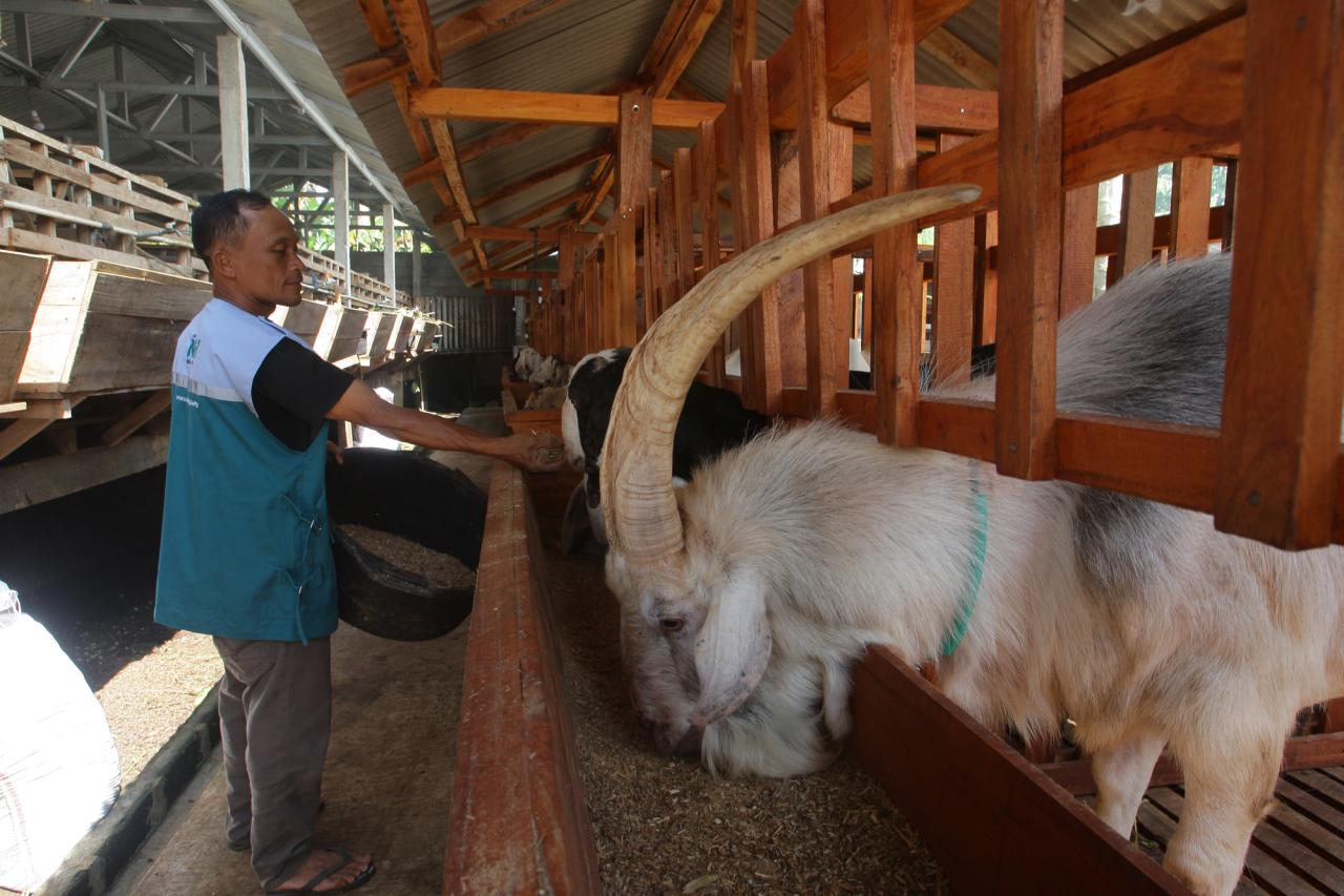 Warga Kendal Kembangkan...