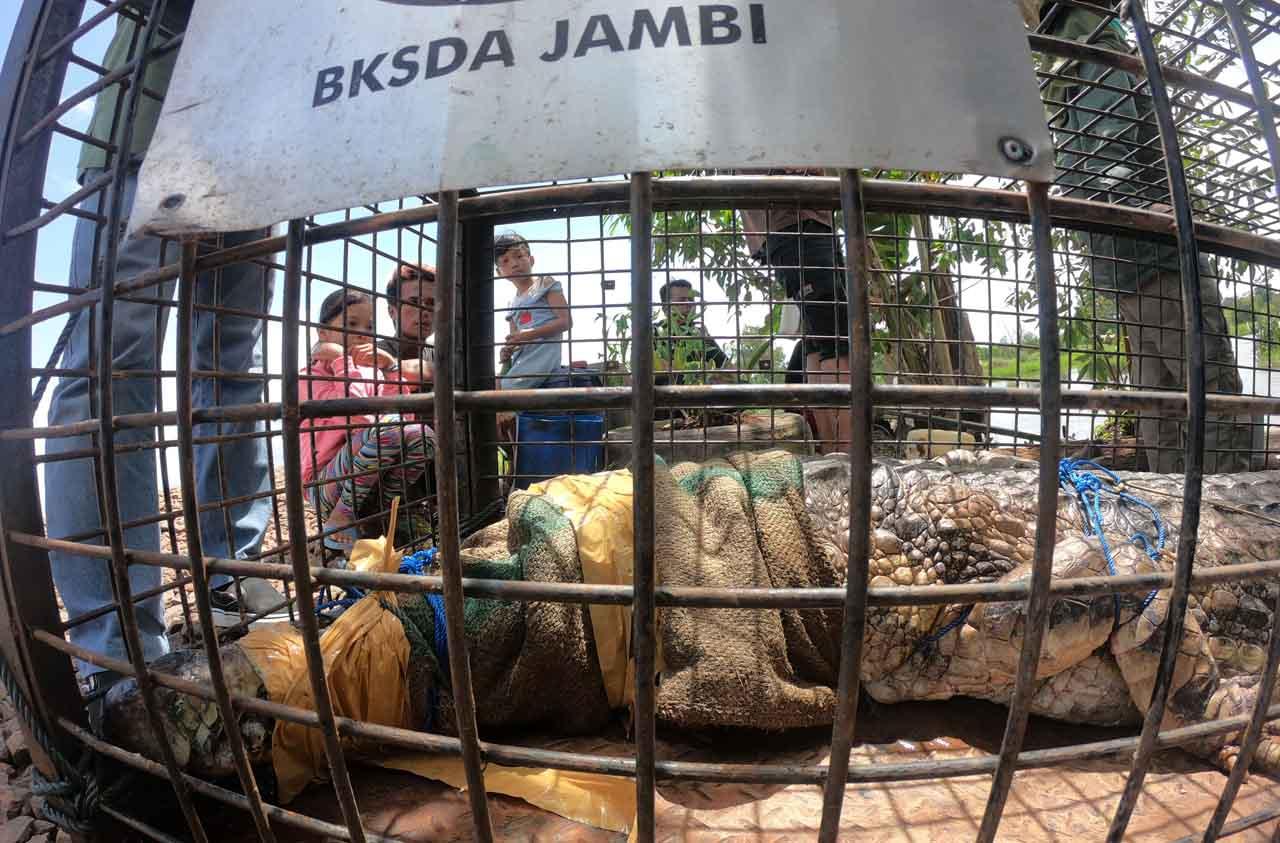 Warga Tonton Pelepasliaran...