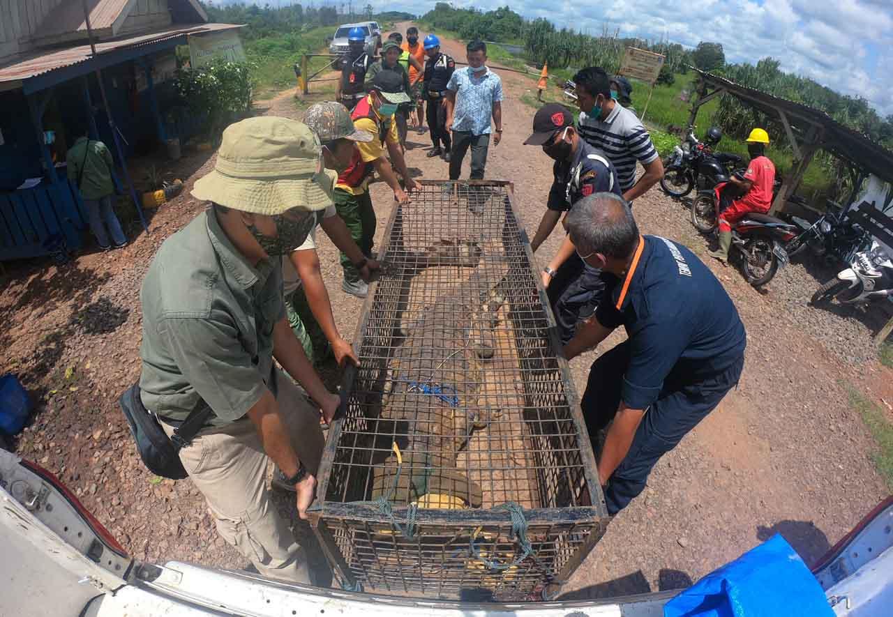 Warga Tonton Pelepasliaran...