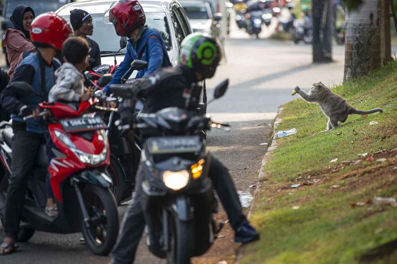 Sampah Manusia Ubah...
