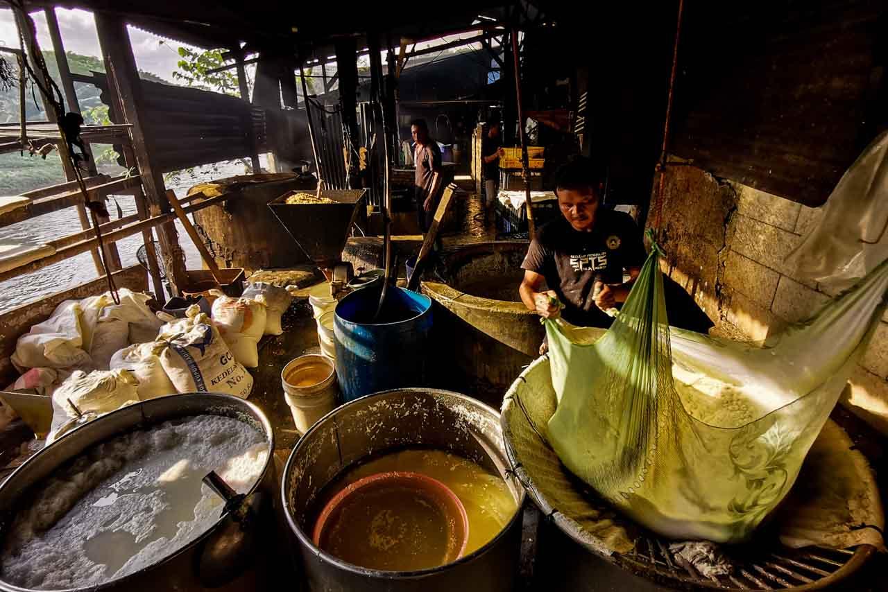 Harga Kedelai Terus...