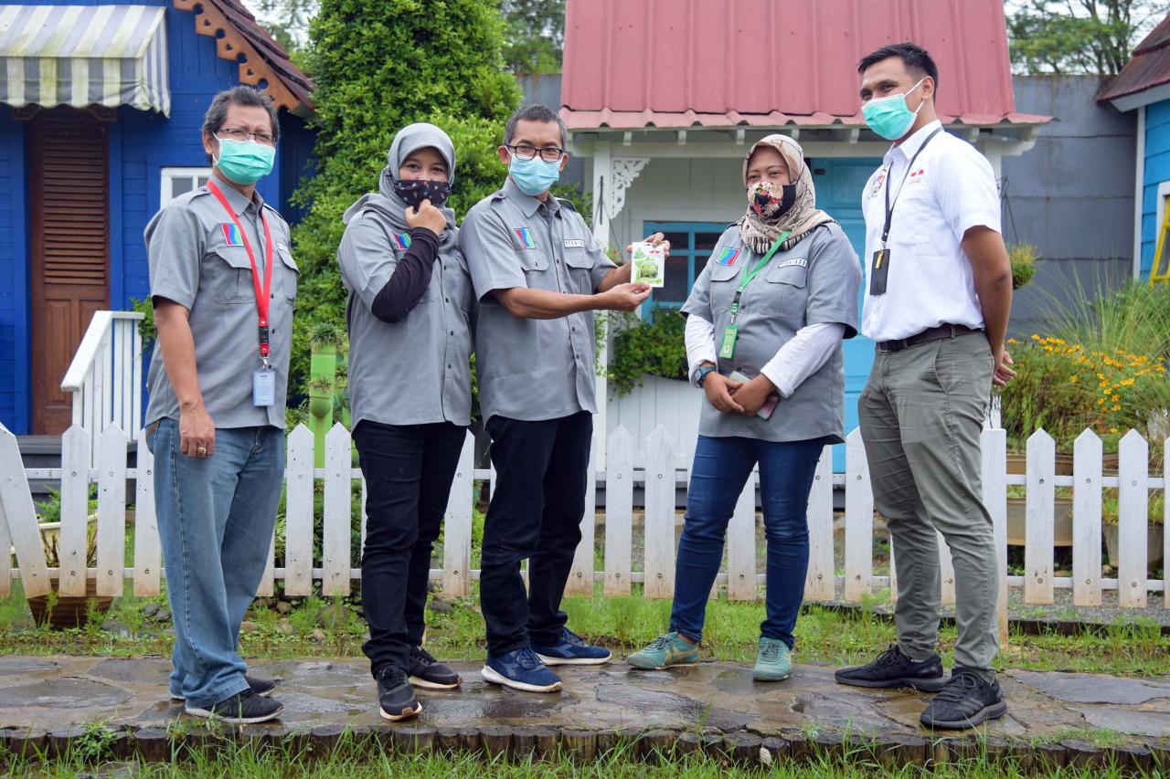 Sediakan Benih Sayuran...