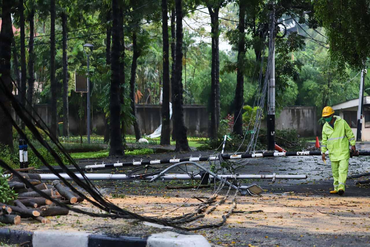 Pohon dan Tiang Listrik...