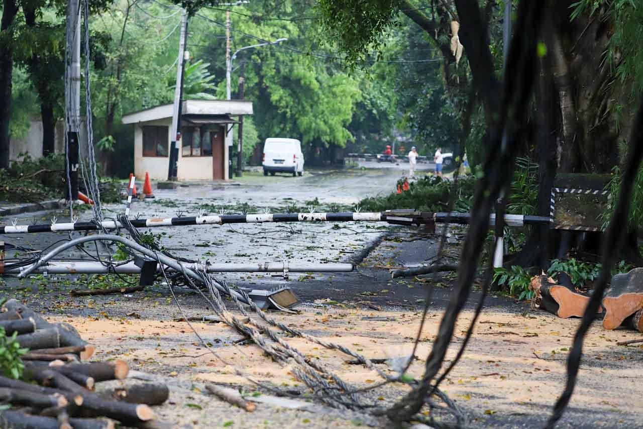 Pohon dan Tiang Listrik...