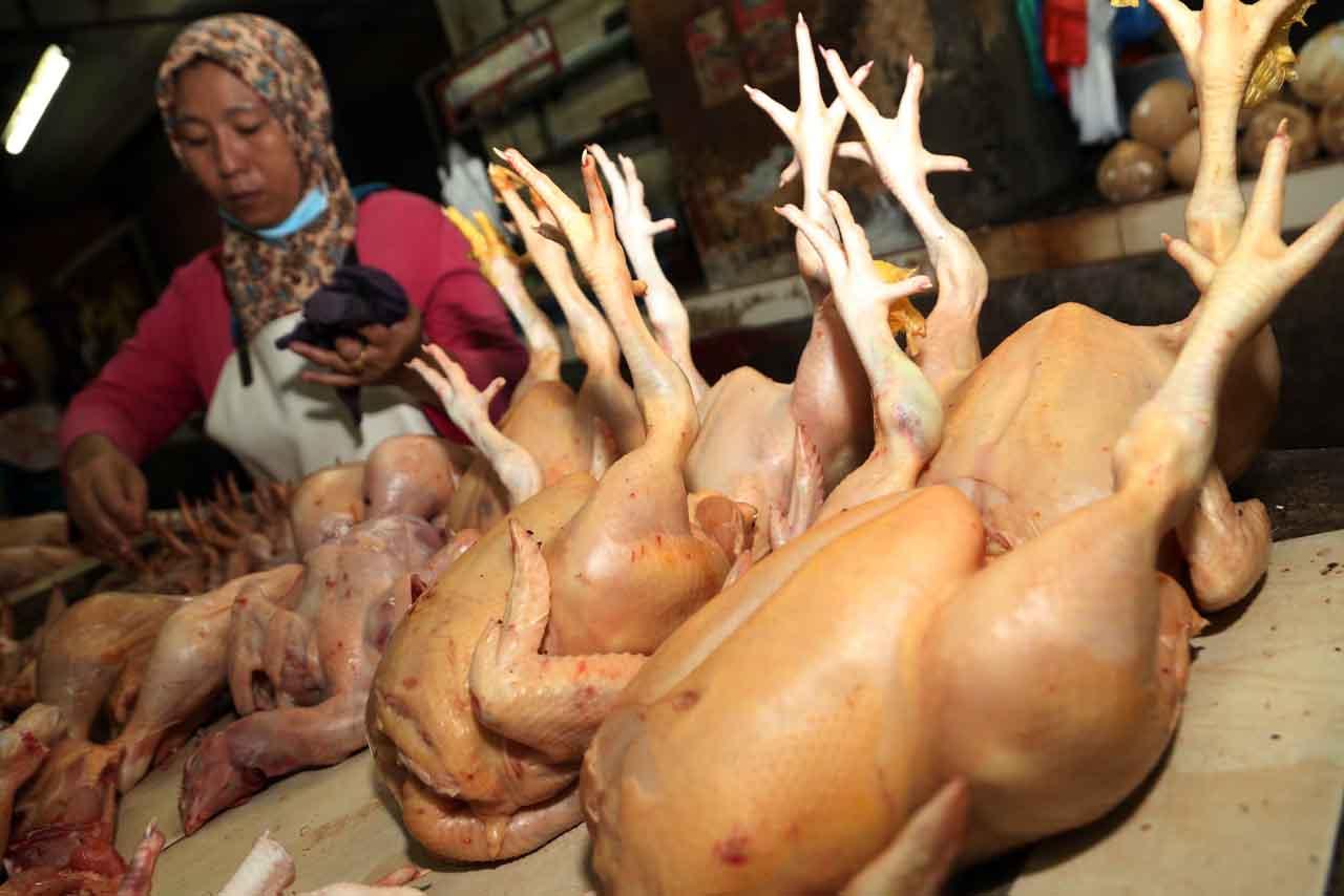 Minggu Pertama Ramadhan,...
