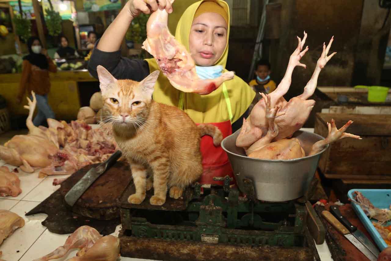 Minggu Pertama Ramadhan,...