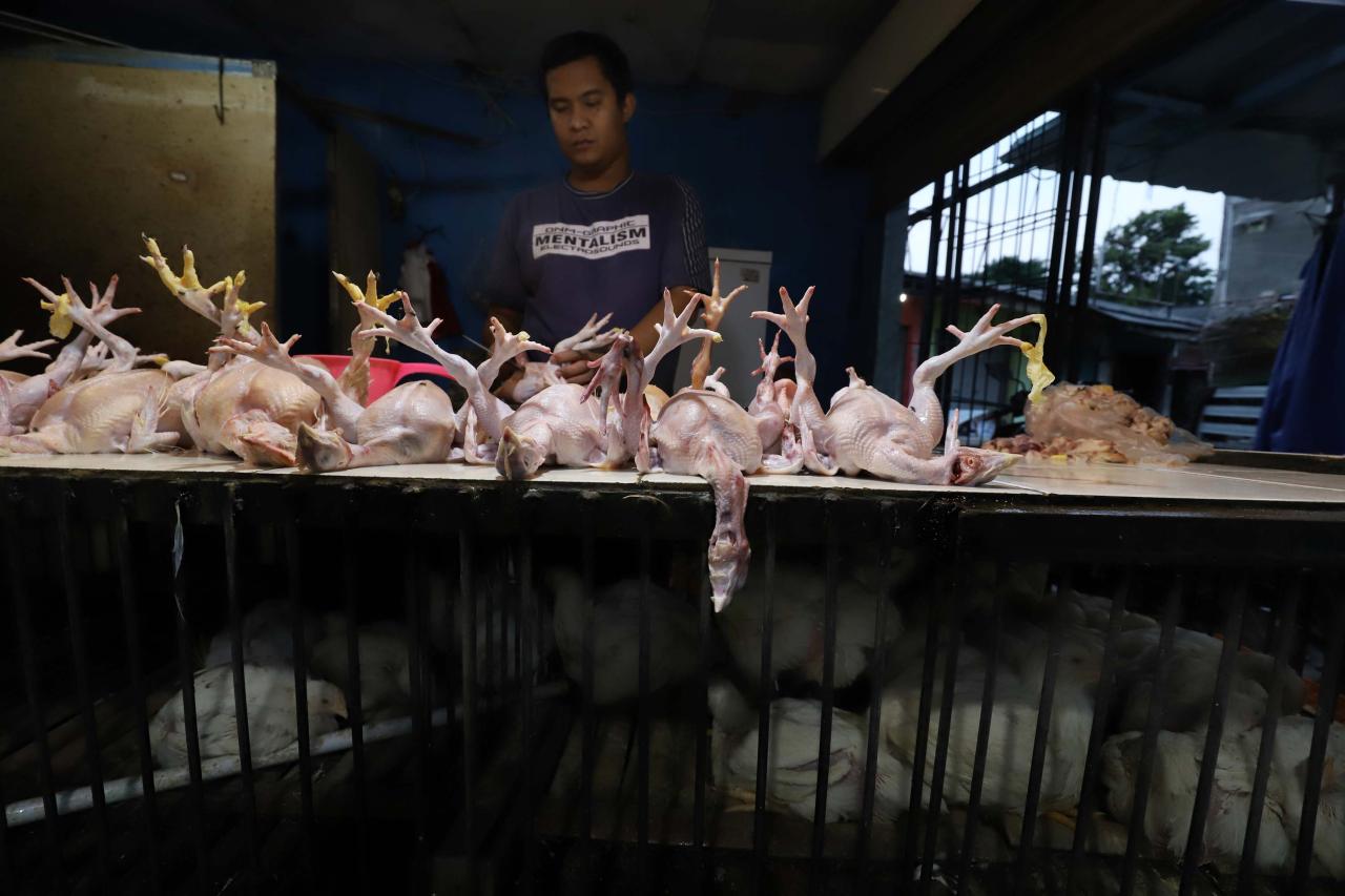 Kenaikan Harga Daging...