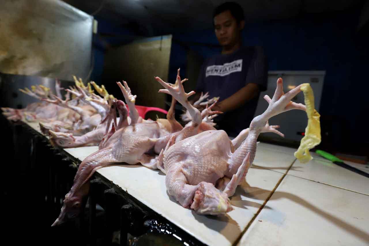 Kenaikan Harga Daging...