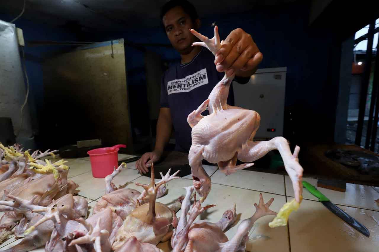 Kenaikan Harga Daging...