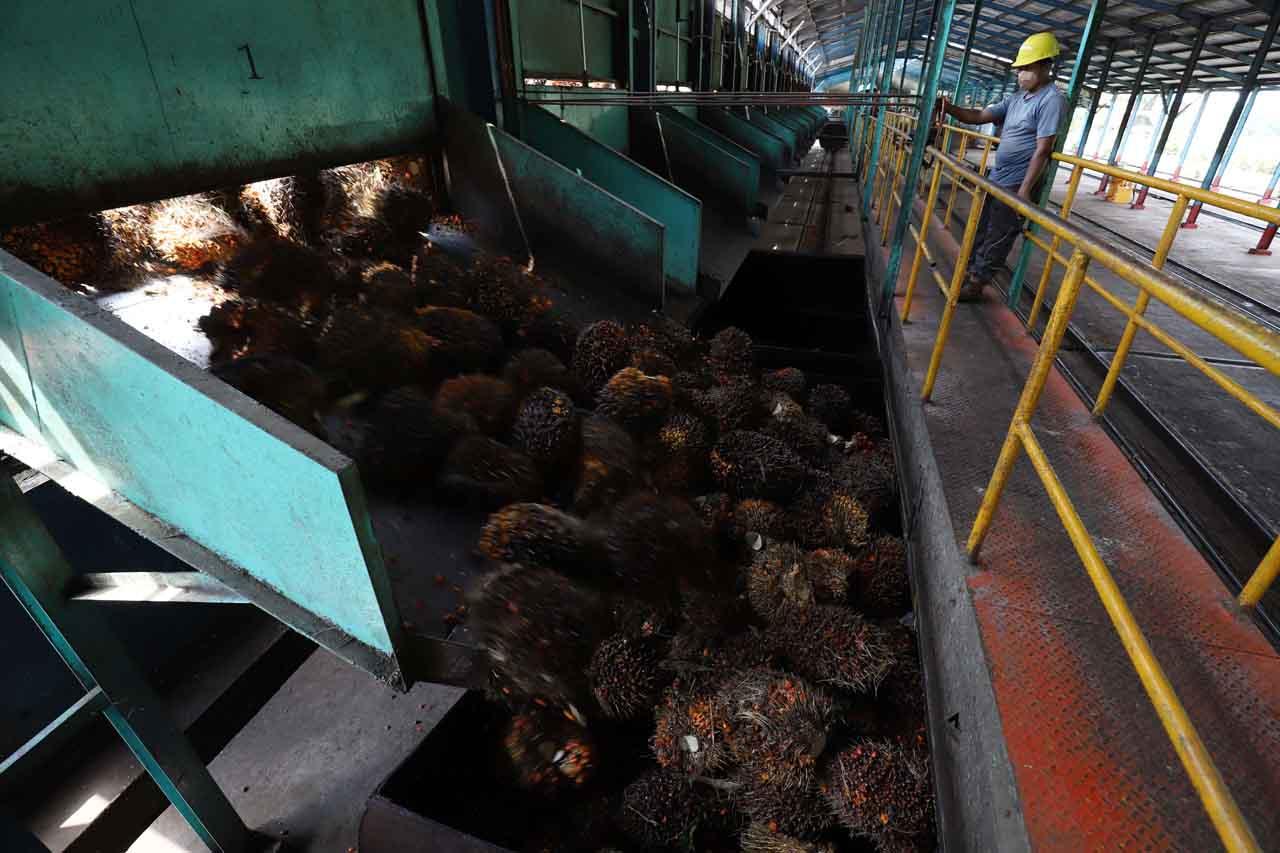 Mengintip Produksi Pabrik...