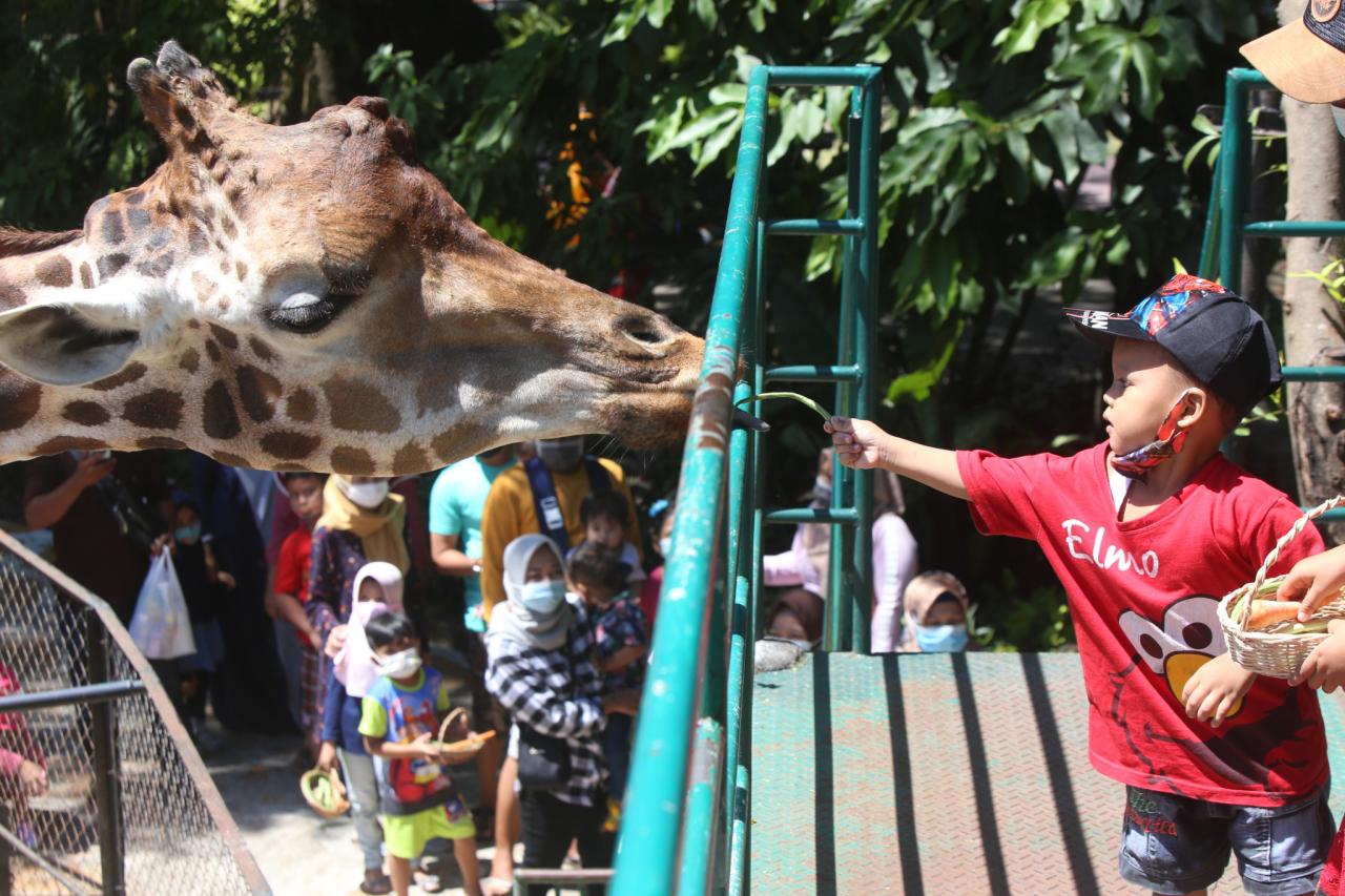 Keseruan Feeding Time...
