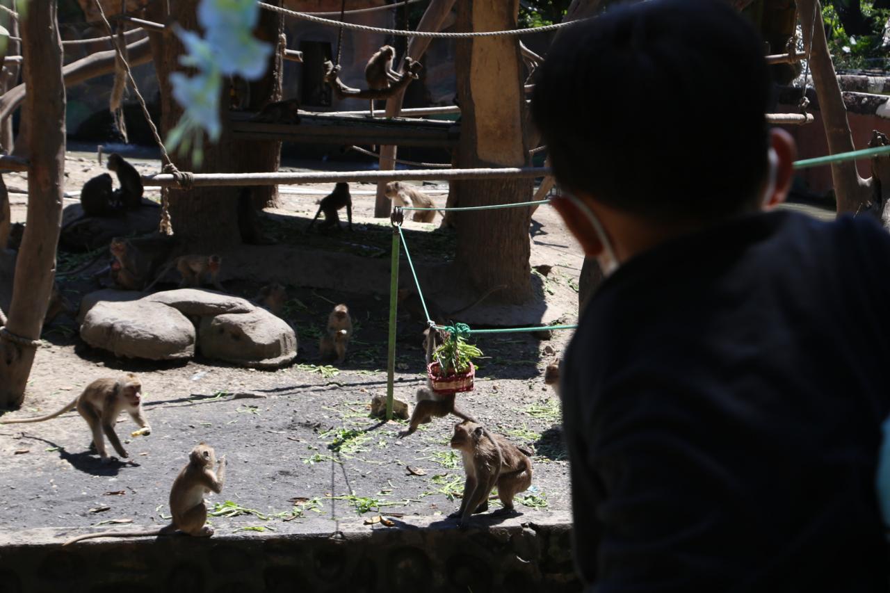 Keseruan Feeding Time...