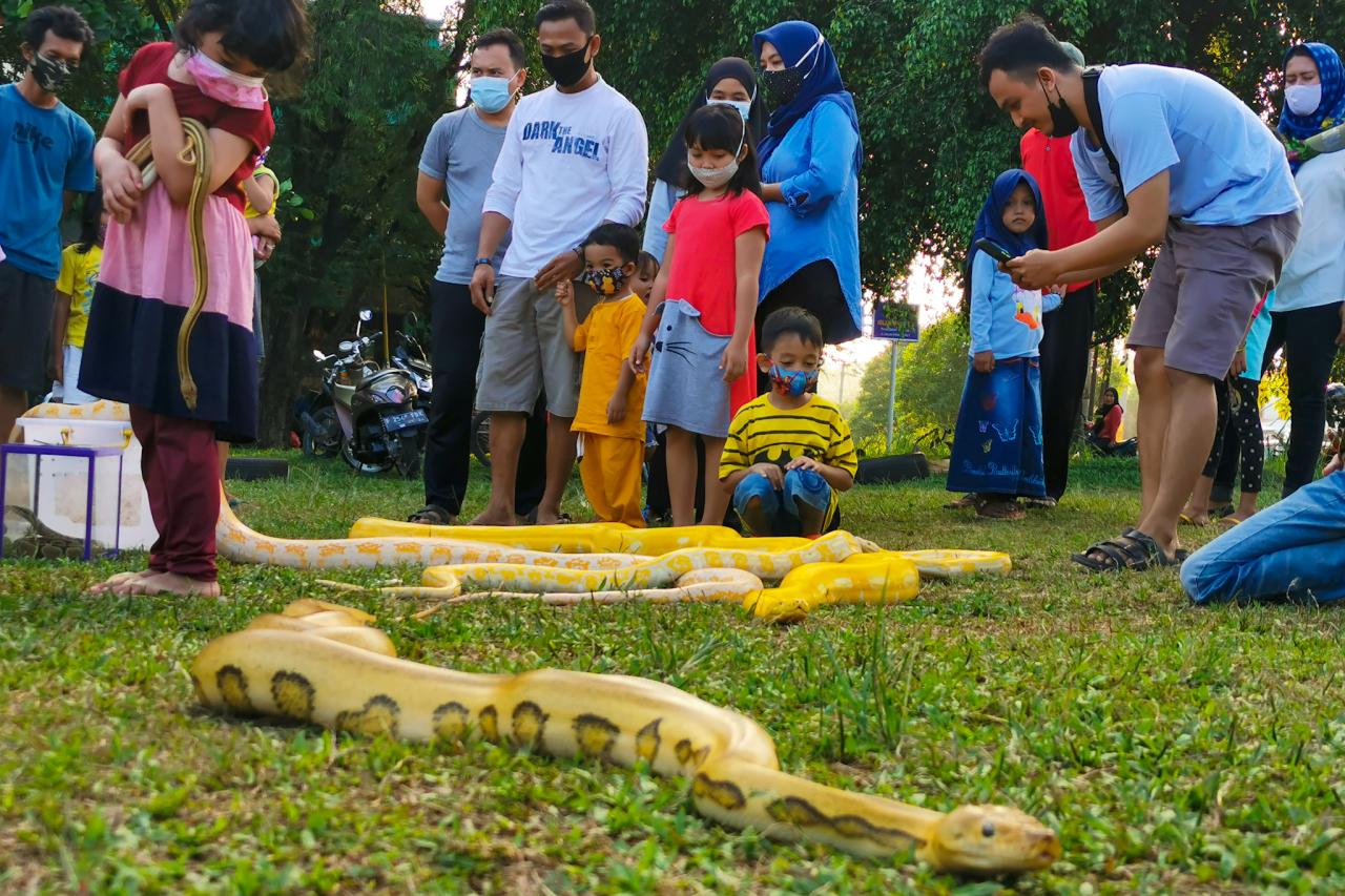 Mengenalkan Dunia Reptil...