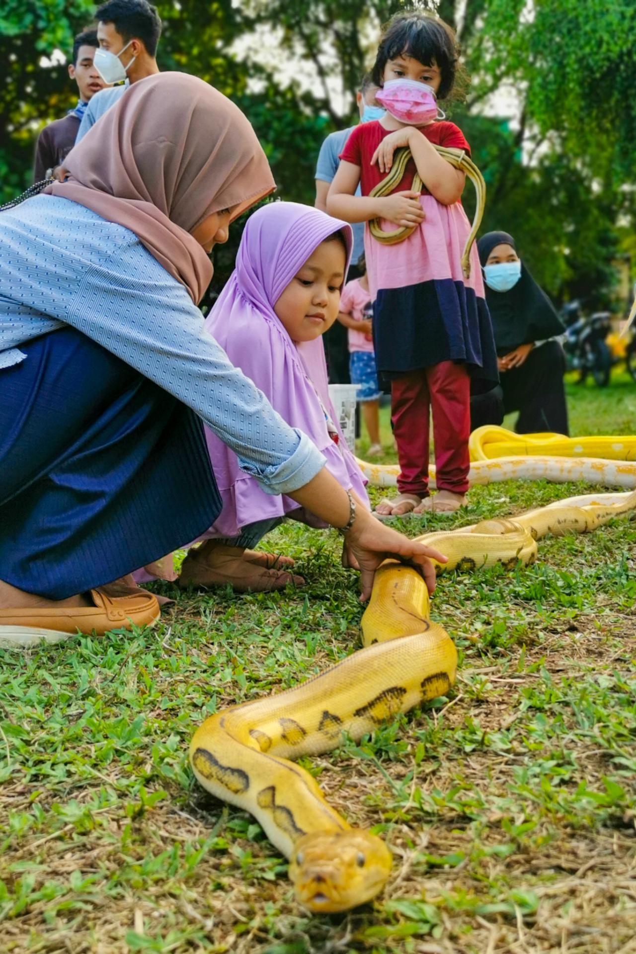 Mengenalkan Dunia Reptil...