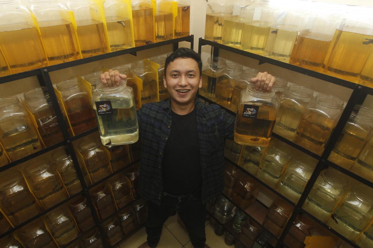Kisah Sukses, Owner...