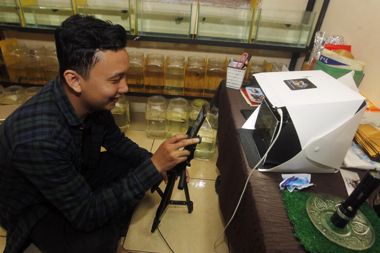 Kisah Sukses, Owner...