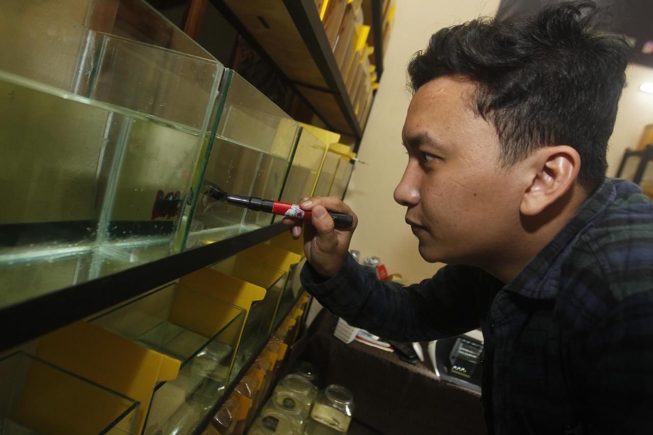 Kisah Sukses, Owner...