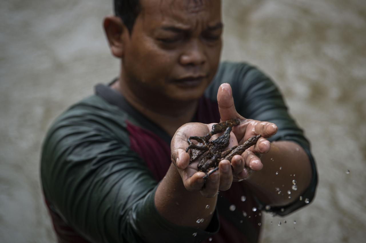 Pencari Logam di Sungai...