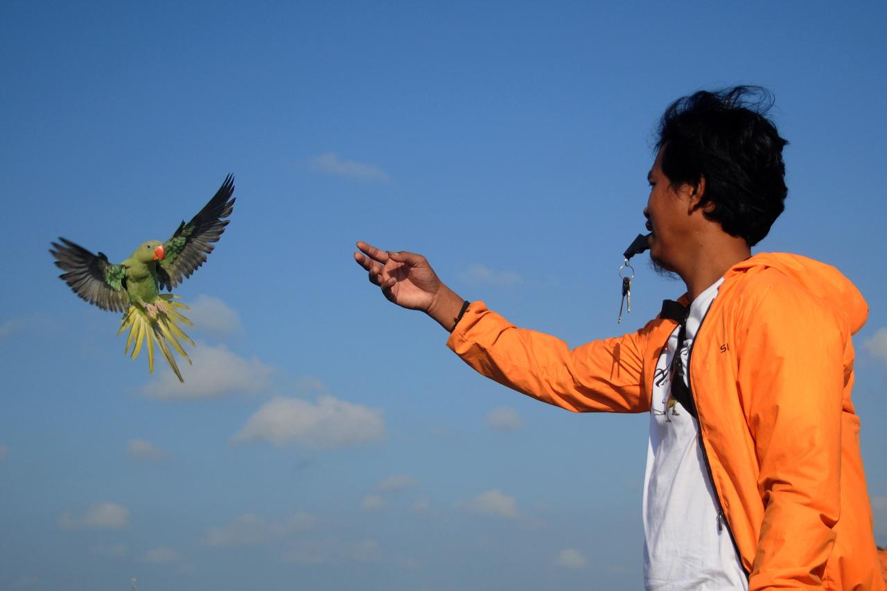 Komunitas Pecinta Burung...