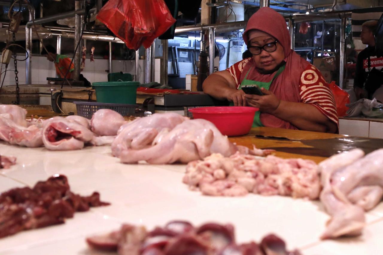 Rencana Pemerintah Kenakan...