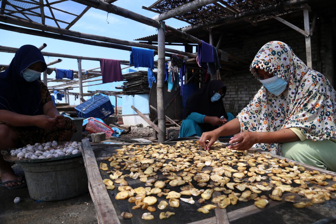 Ikan Terung, Ceruk Ekonomi...