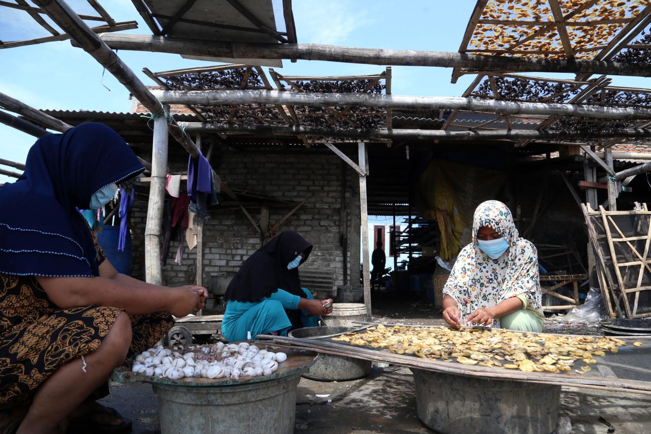 Ikan Terung, Ceruk Ekonomi...