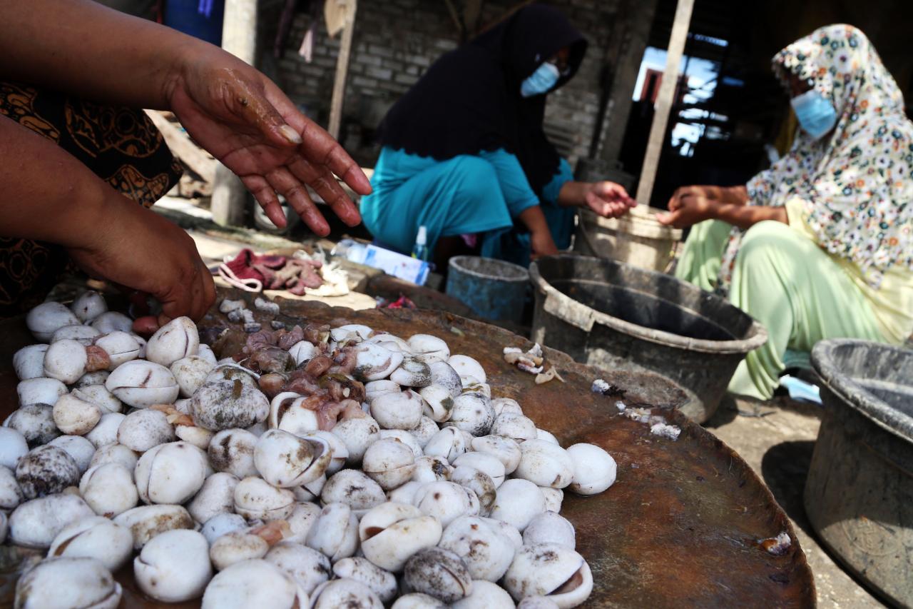 Ikan Terung, Ceruk Ekonomi...